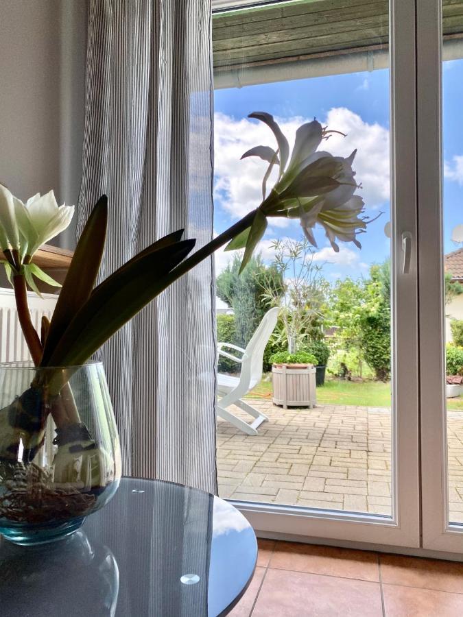 Apartmenthaus Luett Meer Ludorf المظهر الخارجي الصورة